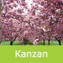 Bare Root Kanzan